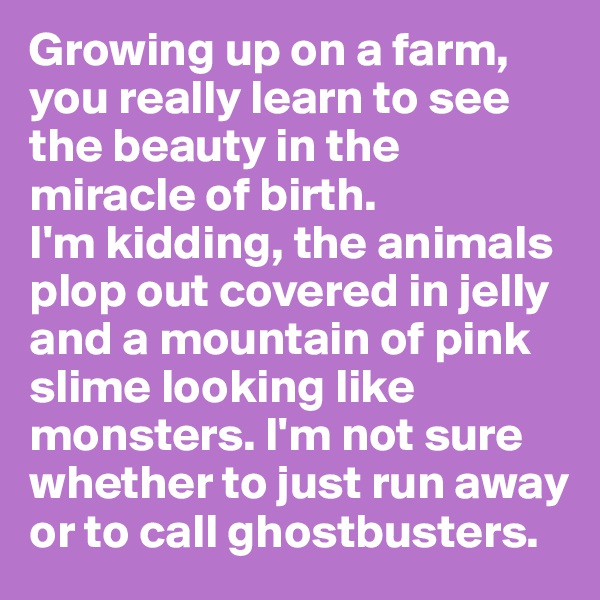 Growing up on a farm, you really learn to see the beauty in the miracle of birth.
I'm kidding, the animals plop out covered in jelly and a mountain of pink slime looking like monsters. I'm not sure whether to just run away or to call ghostbusters.