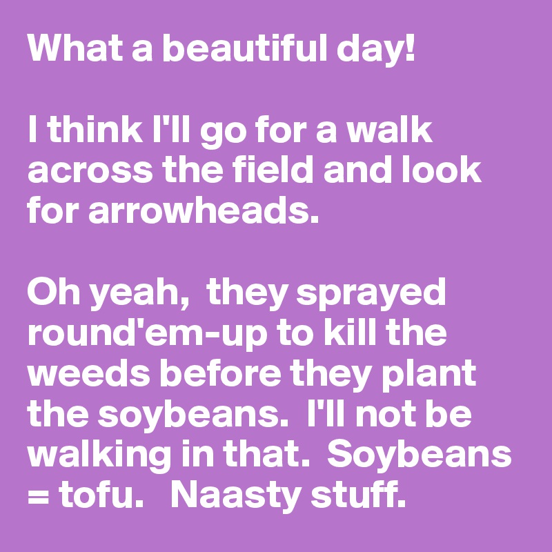 What a beautiful day!  

I think I'll go for a walk across the field and look for arrowheads.

Oh yeah,  they sprayed round'em-up to kill the weeds before they plant the soybeans.  I'll not be walking in that.  Soybeans = tofu.   Naasty stuff.  