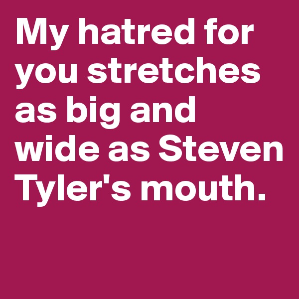 My hatred for you stretches as big and wide as Steven Tyler's mouth.
