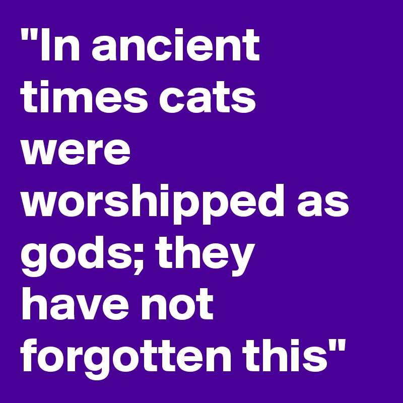 "In ancient times cats were worshipped as gods; they have not forgotten this" 