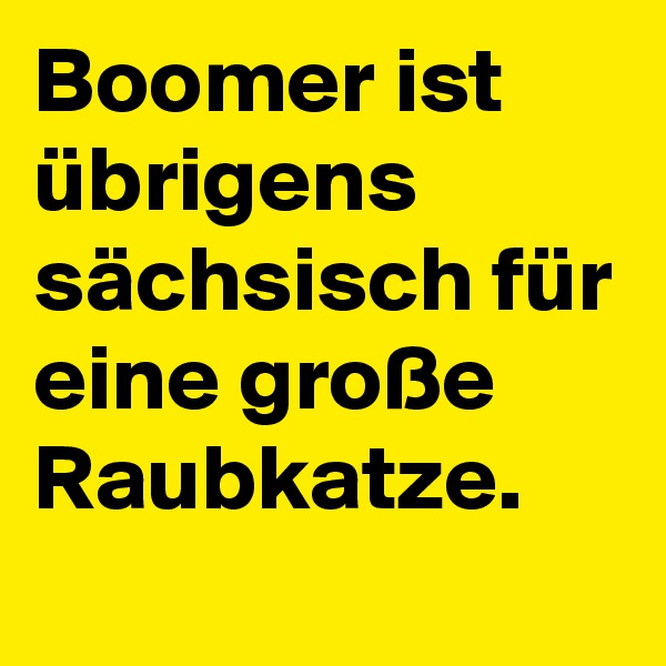 Boomer ist übrigens sächsisch für eine große Raubkatze.