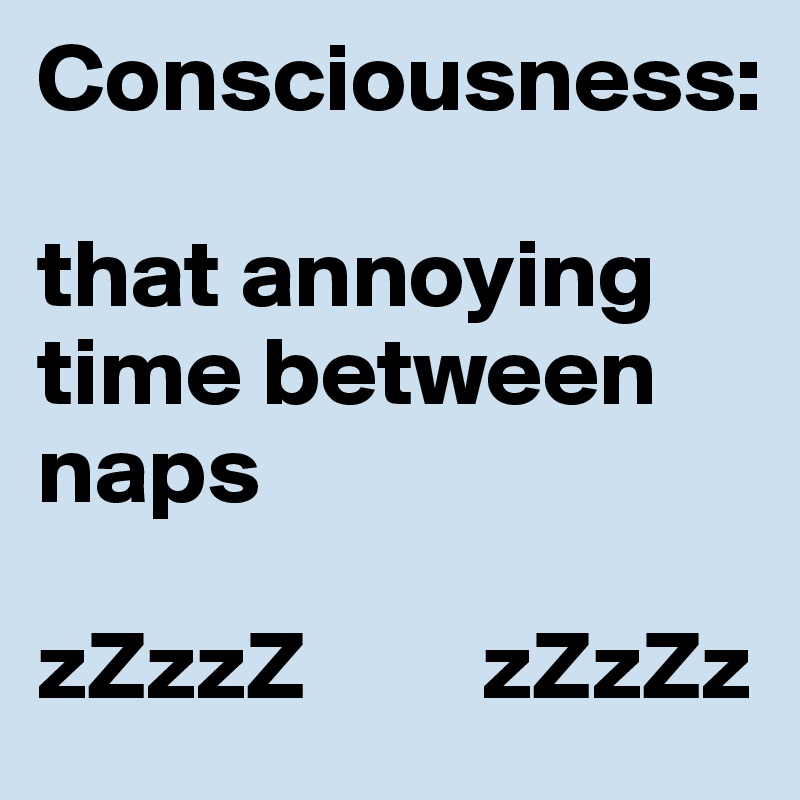 Consciousness: 

that annoying time between naps

zZzzZ         zZzZz