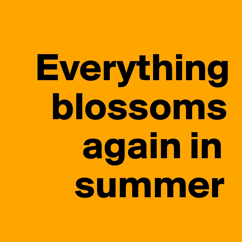 
   Everything 
     blossoms 
         again in 
        summer