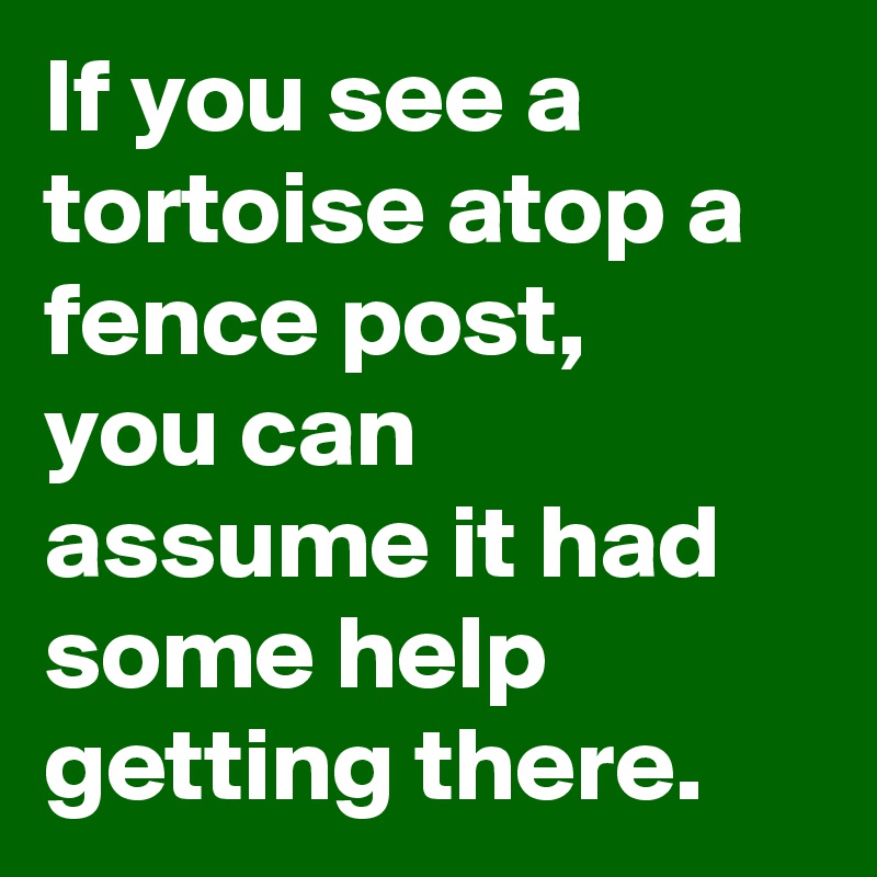 If you see a tortoise atop a fence post,
you can assume it had some help getting there.