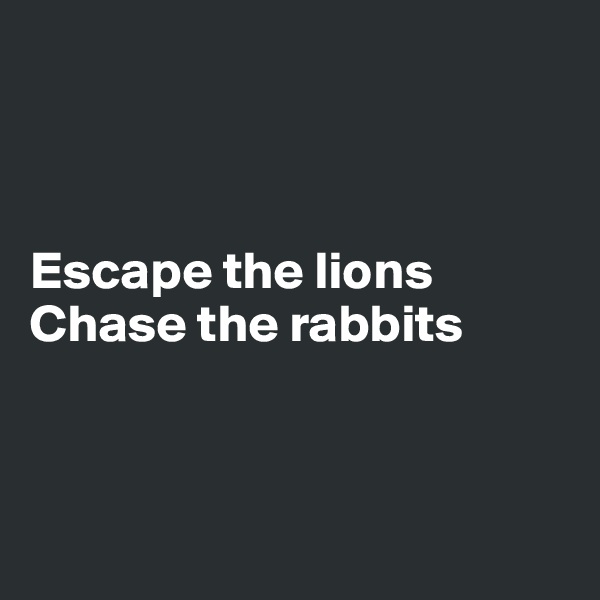 



Escape the lions 
Chase the rabbits



