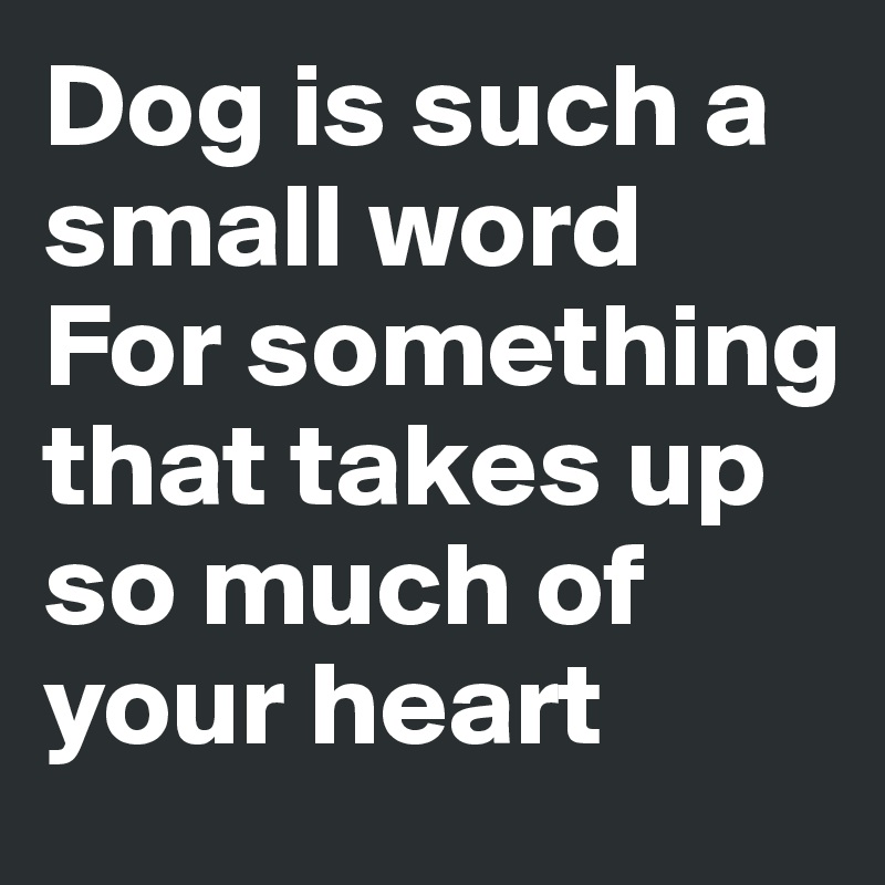Dog is such a small word 
For something that takes up so much of your heart