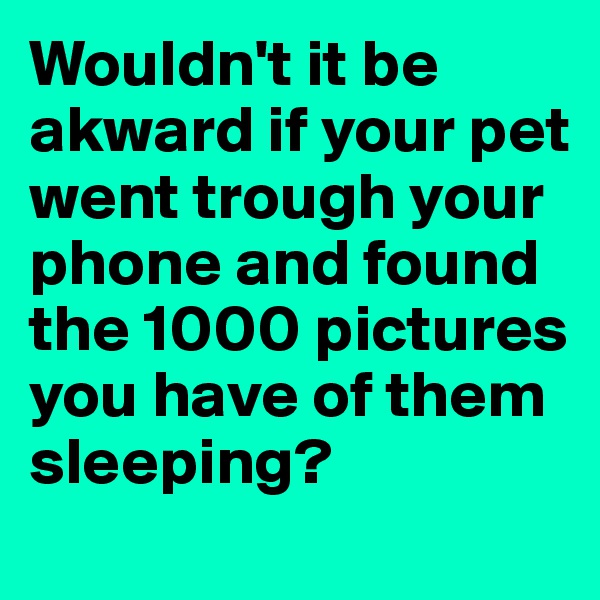 Wouldn't it be akward if your pet went trough your phone and found the 1000 pictures you have of them sleeping? 
