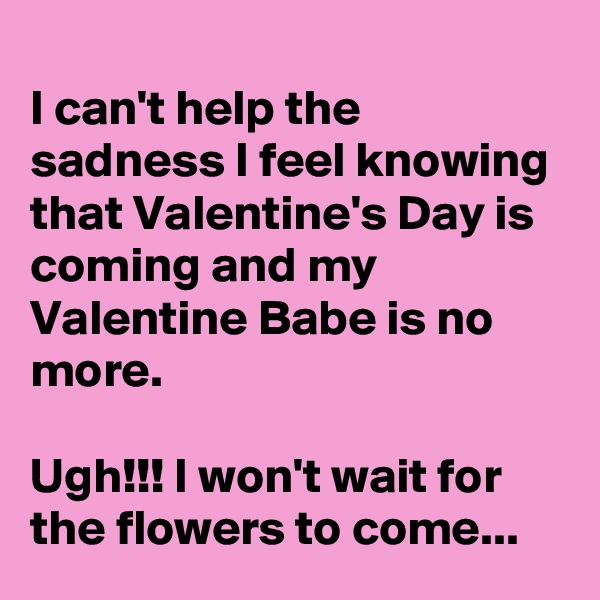 
I can't help the sadness I feel knowing that Valentine's Day is coming and my Valentine Babe is no more.

Ugh!!! I won't wait for the flowers to come...