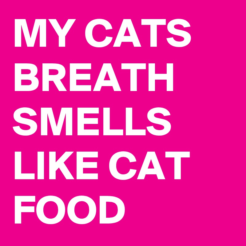 MY CATS BREATH SMELLS LIKE CAT FOOD