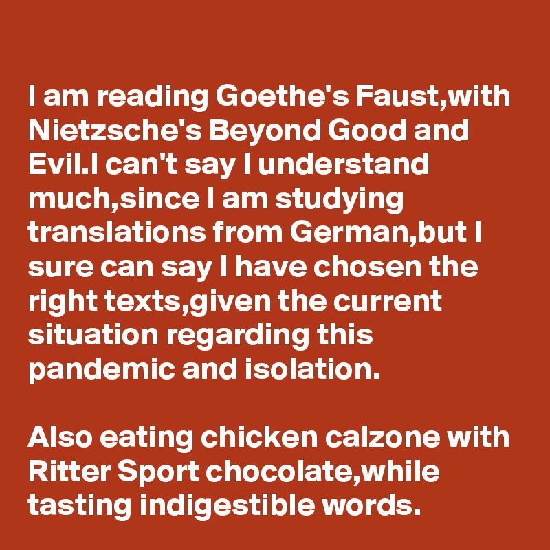 I am reading Goethe's Faust,with Nietzsche's Beyond Good and Evil.I can't say I understand much,since I am studying translations from German,but I sure can say I have chosen the right texts,given the current situation regarding this pandemic and isolation.

Also eating chicken calzone with Ritter Sport chocolate,while tasting indigestible words.