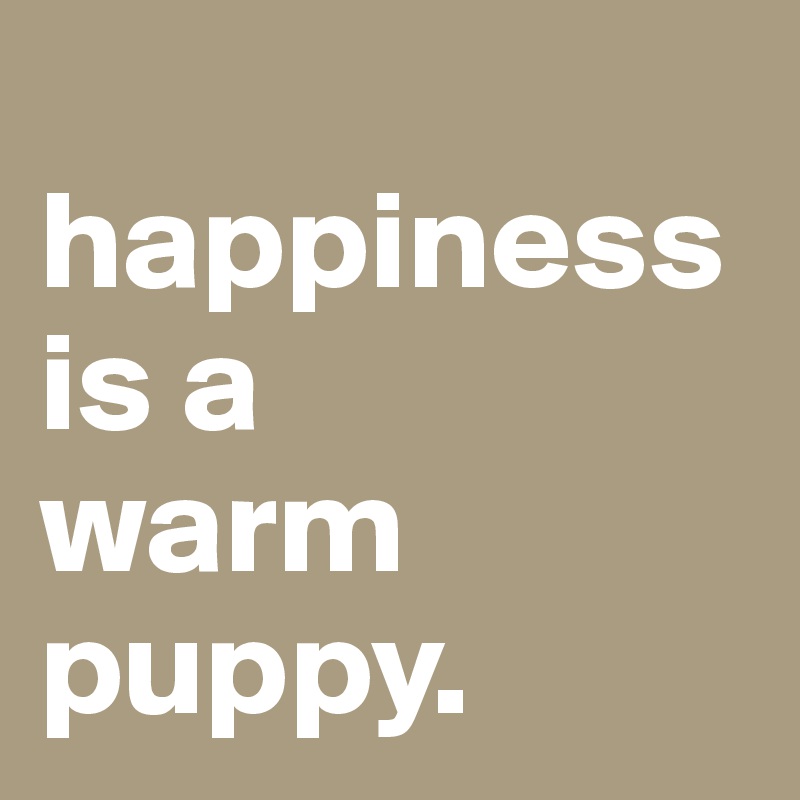        happiness                       is a        warm   puppy.                   