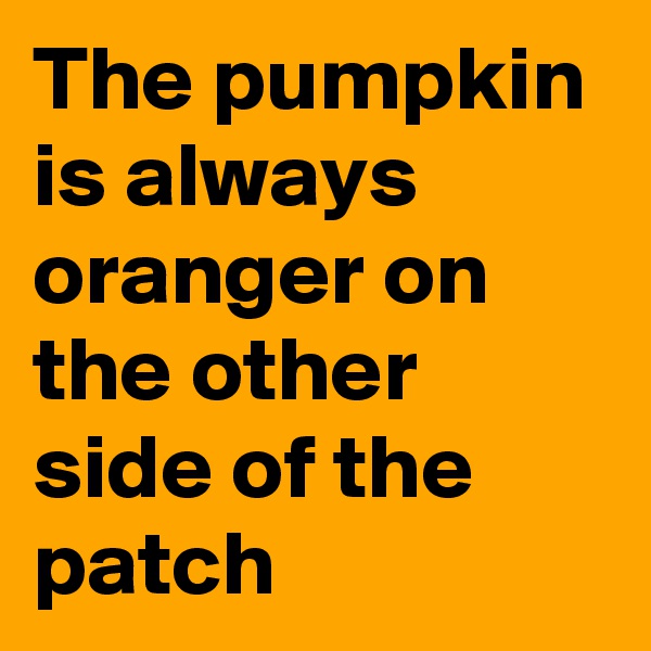 The pumpkin is always oranger on the other side of the patch