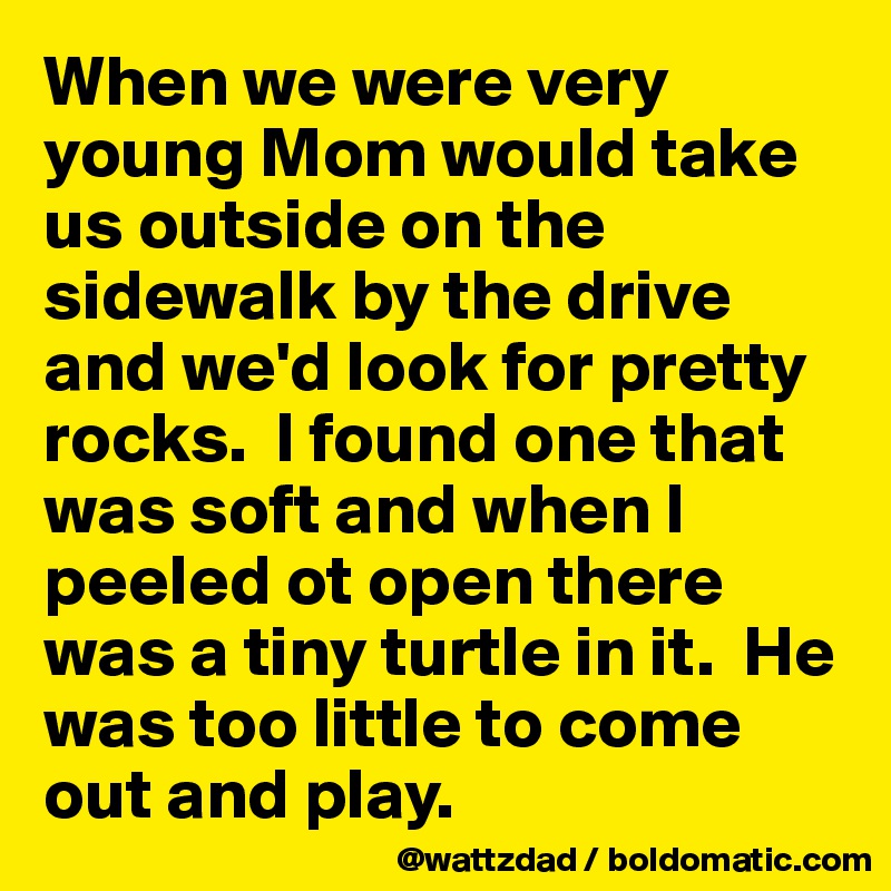 When we were very young Mom would take us outside on the sidewalk by the drive and we'd look for pretty rocks.  I found one that was soft and when I peeled ot open there was a tiny turtle in it.  He was too little to come out and play.  