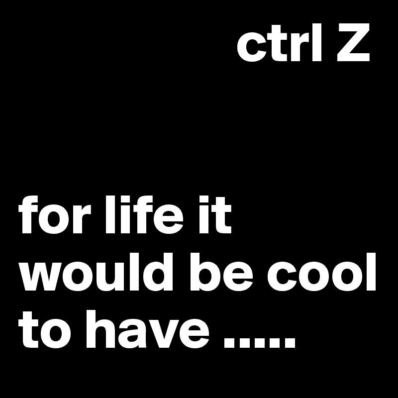                    ctrl Z 


for life it would be cool to have .....