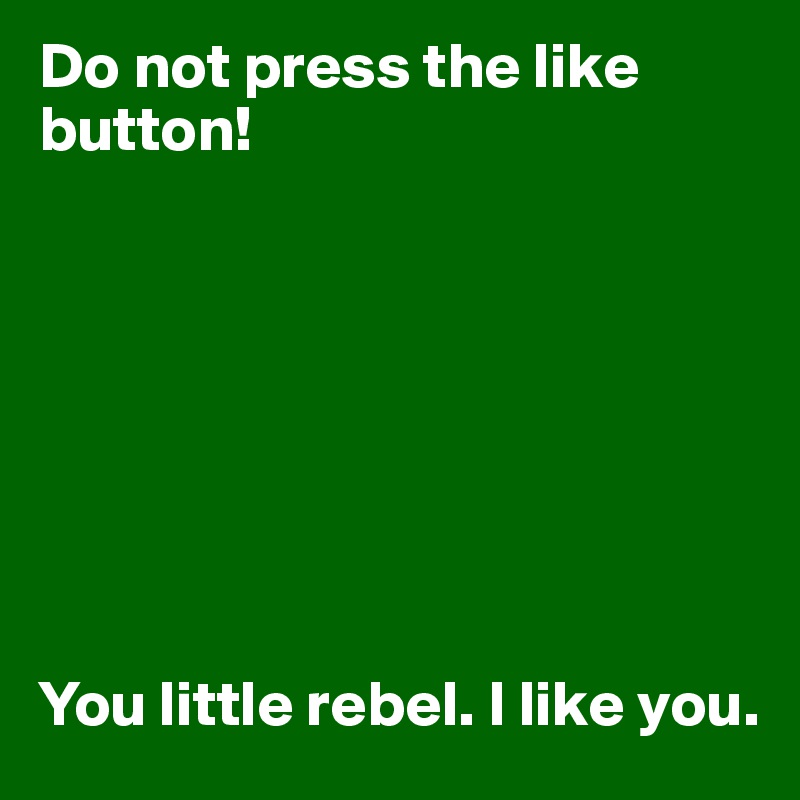 Do not press the like button!








You little rebel. I like you.