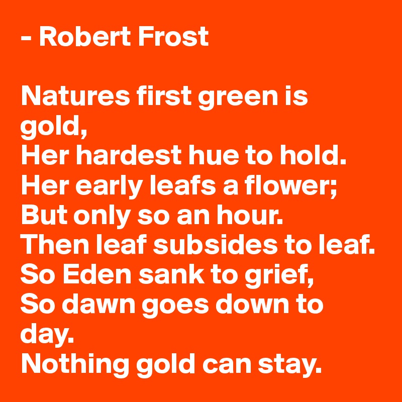 - Robert Frost

Natures first green is gold,
Her hardest hue to hold.
Her early leafs a flower;
But only so an hour.
Then leaf subsides to leaf.
So Eden sank to grief,
So dawn goes down to day.
Nothing gold can stay.