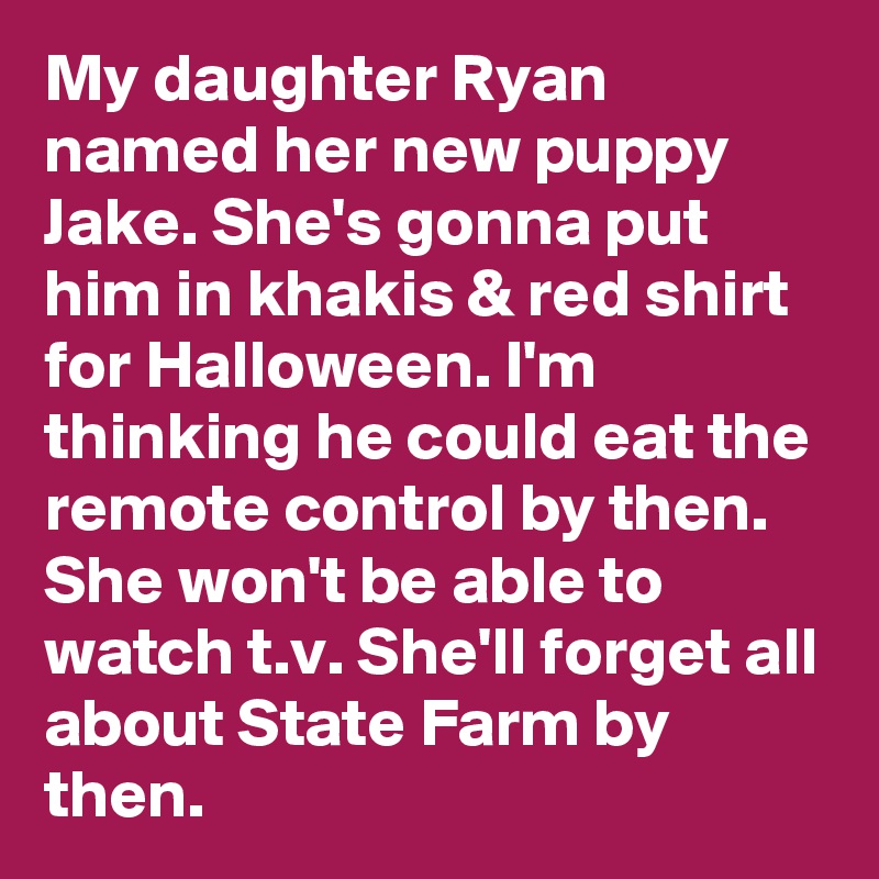 My daughter Ryan named her new puppy Jake. She's gonna put him in khakis & red shirt for Halloween. I'm thinking he could eat the remote control by then. She won't be able to watch t.v. She'll forget all about State Farm by then.
