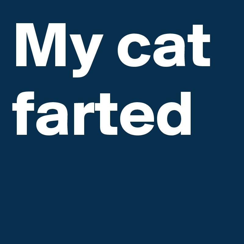 My cat farted
