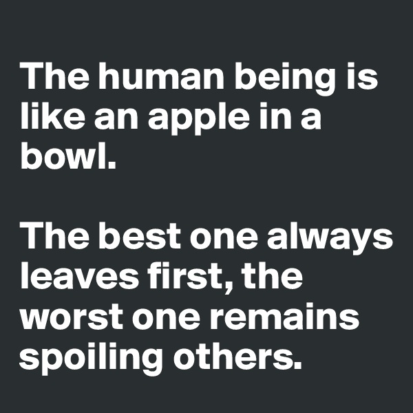 
The human being is like an apple in a bowl. 

The best one always leaves first, the worst one remains spoiling others.