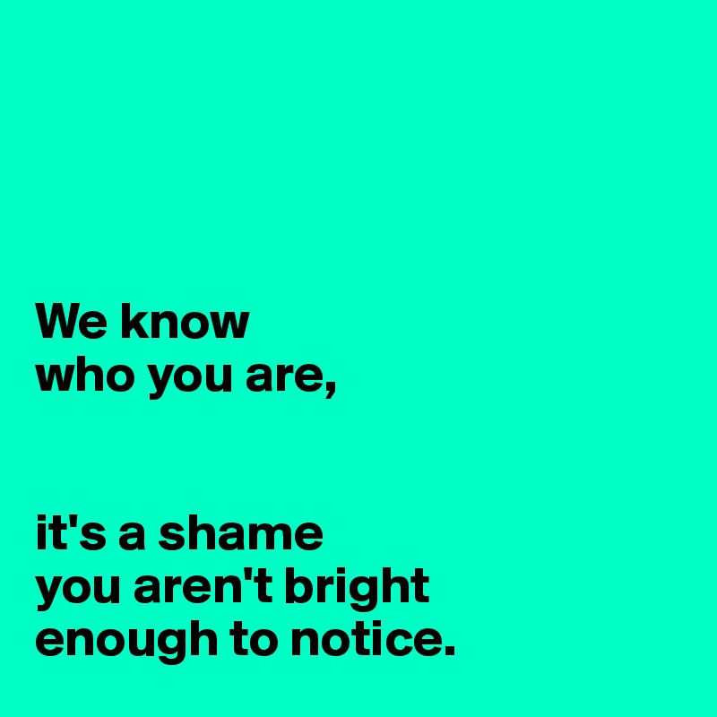 




We know
who you are, 


it's a shame 
you aren't bright 
enough to notice.