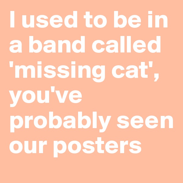 I used to be in a band called 'missing cat', you've probably seen our posters