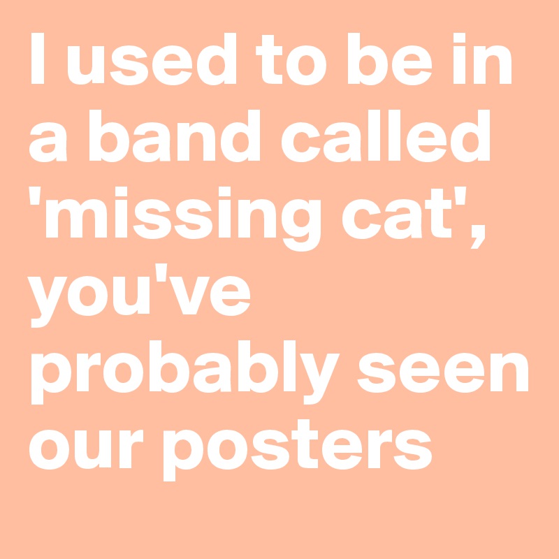 I used to be in a band called 'missing cat', you've probably seen our posters