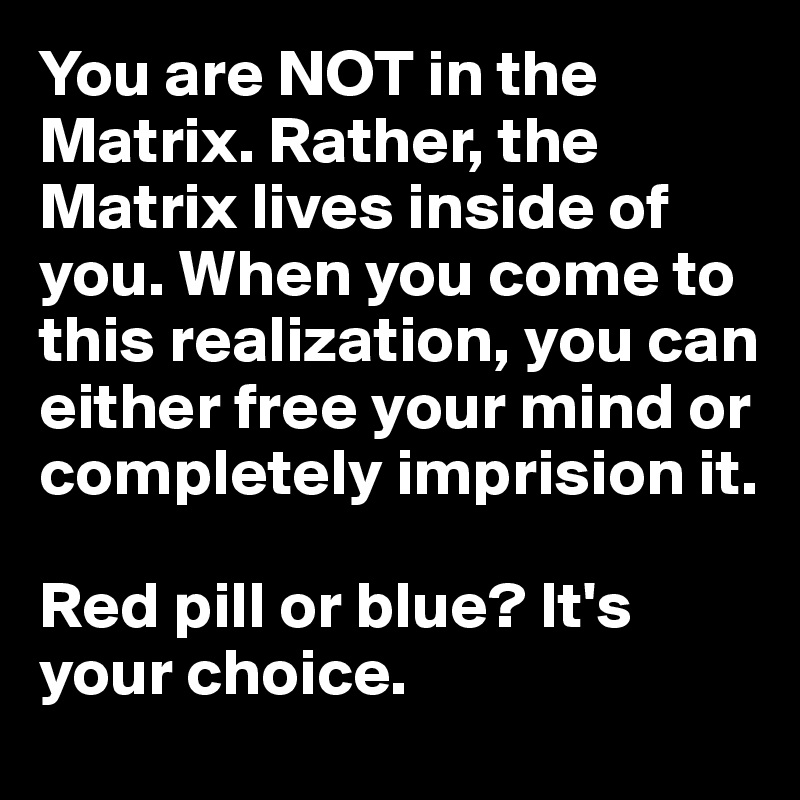 You are NOT in the Matrix. Rather, the Matrix lives inside of you. When you come to this realization, you can either free your mind or completely imprision it. 

Red pill or blue? It's your choice.