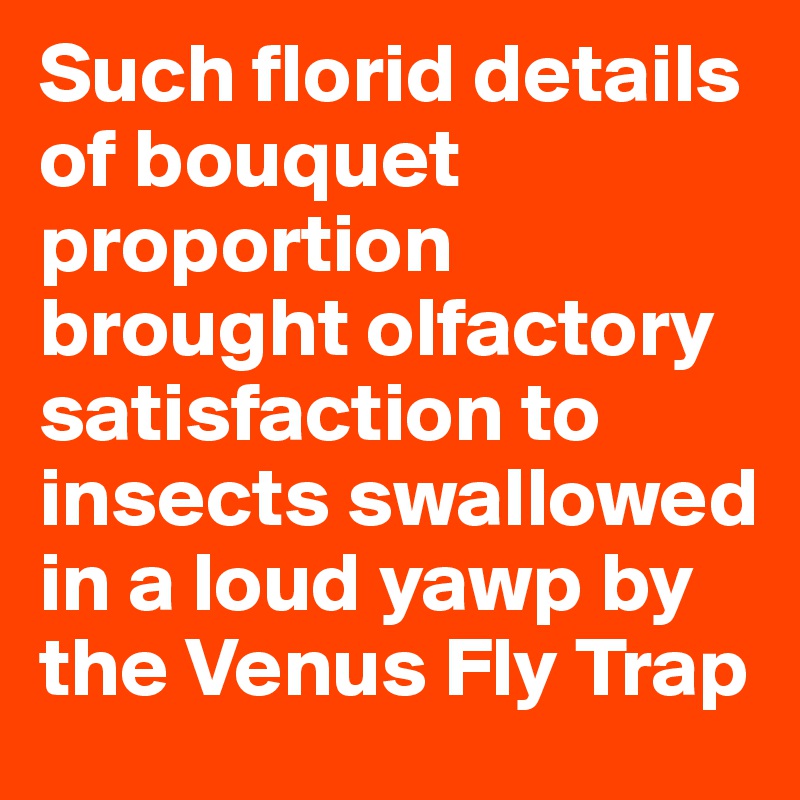 Such florid details of bouquet proportion brought olfactory satisfaction to insects swallowed in a loud yawp by the Venus Fly Trap 
