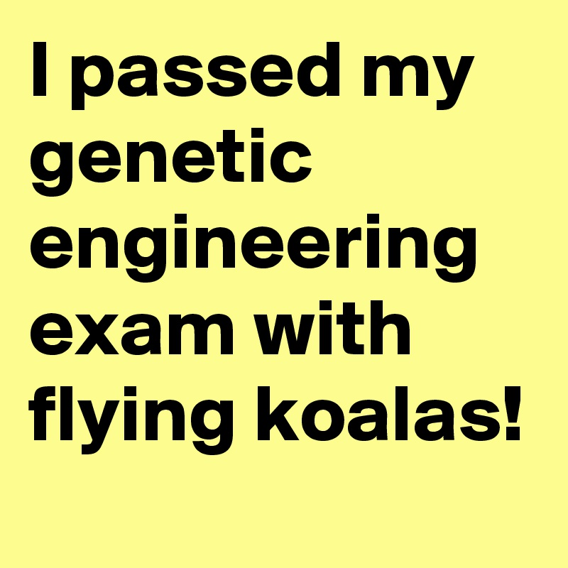 I passed my genetic engineering exam with flying koalas!