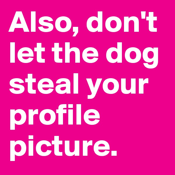 Also, don't let the dog steal your profile picture. 