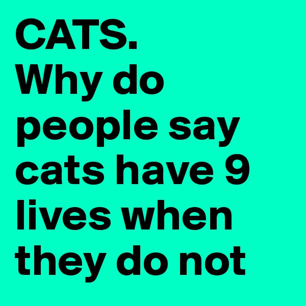 CATS.         Why do people say cats have 9 lives when they do not 
