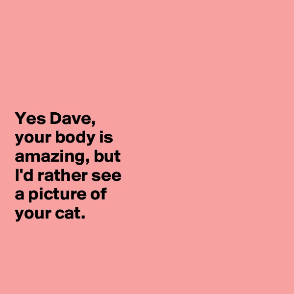 




Yes Dave, 
your body is 
amazing, but 
I'd rather see 
a picture of 
your cat. 


