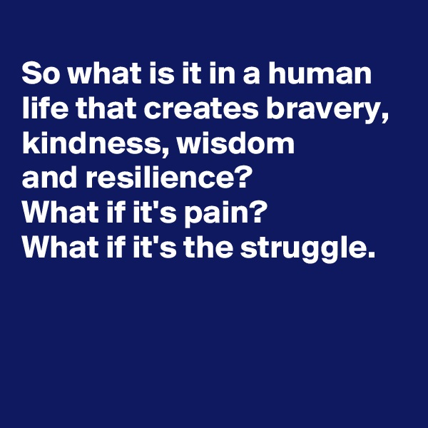 
So what is it in a human life that creates bravery, 
kindness, wisdom 
and resilience?
What if it's pain?
What if it's the struggle.



