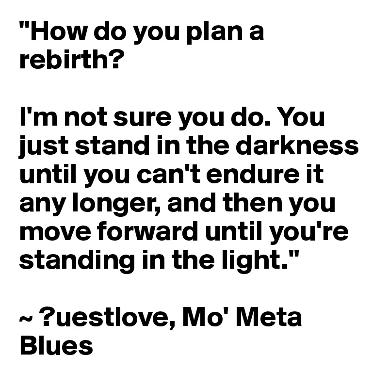 "How do you plan a rebirth?

I'm not sure you do. You just stand in the darkness until you can't endure it any longer, and then you move forward until you're standing in the light."

~ ?uestlove, Mo' Meta Blues