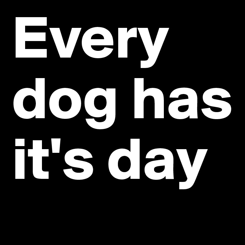 Every dog has it's day