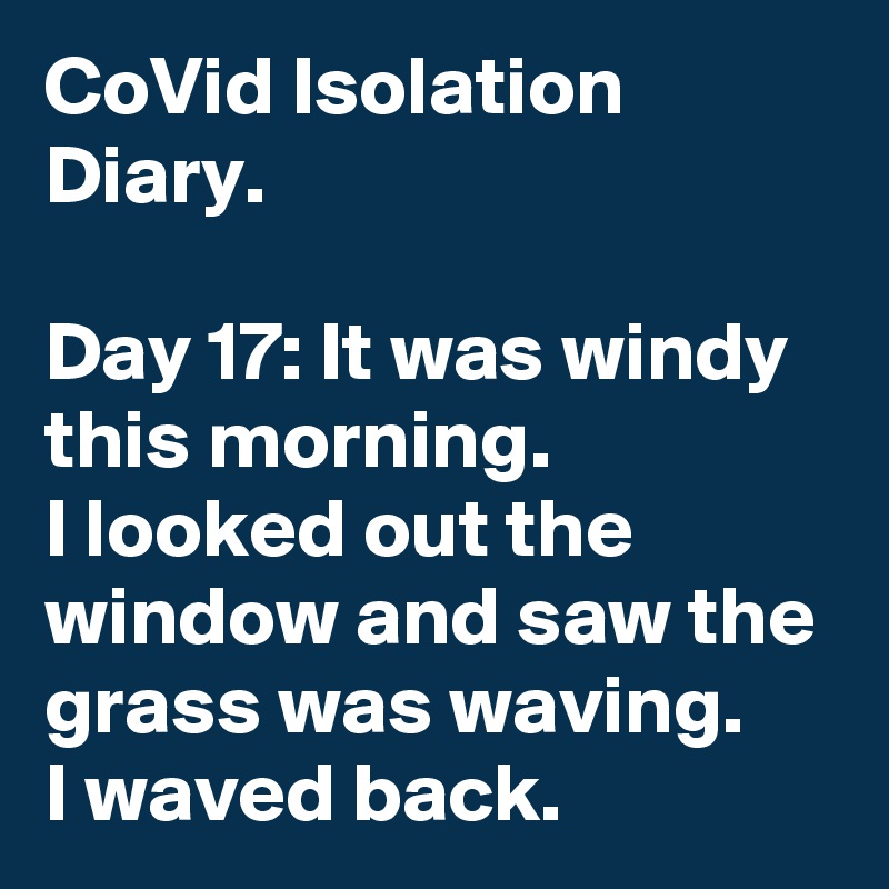 CoVid Isolation Diary.

Day 17: It was windy this morning.
I looked out the window and saw the grass was waving.
I waved back.