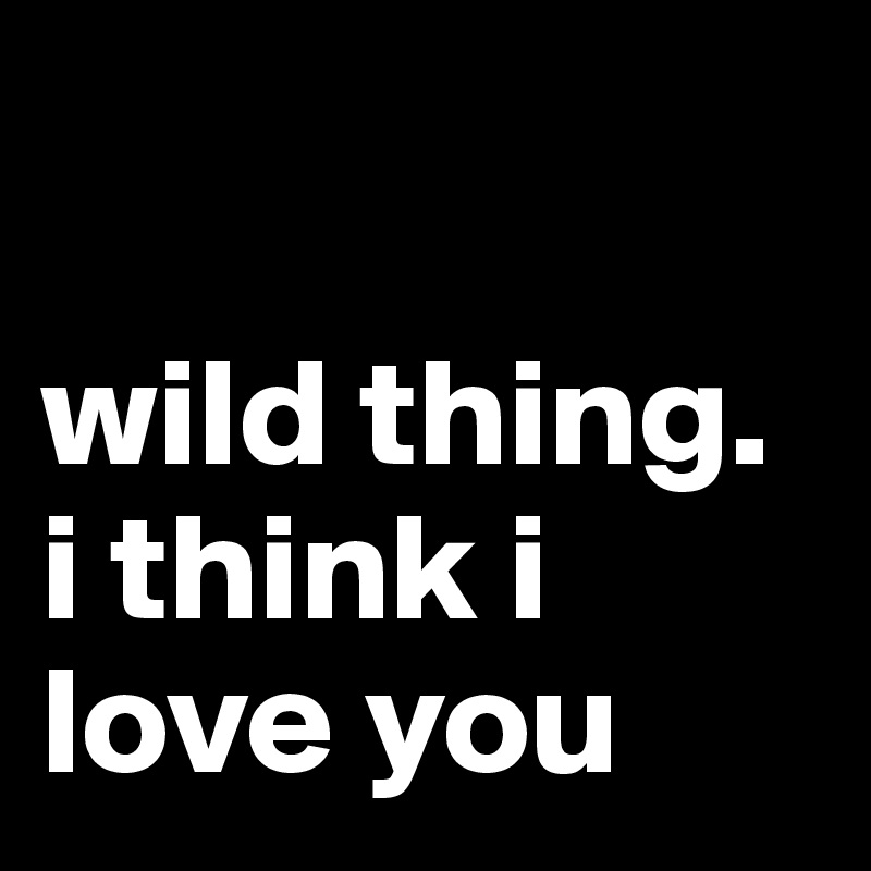 

wild thing. i think i love you