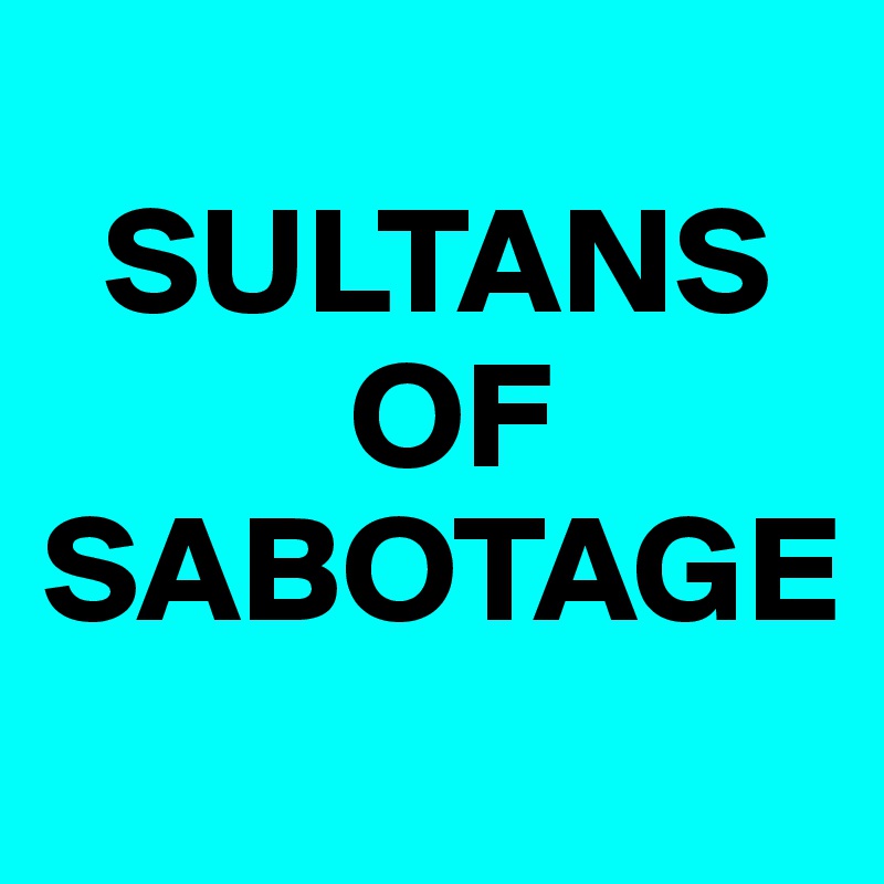 
  SULTANS     
          OF SABOTAGE
