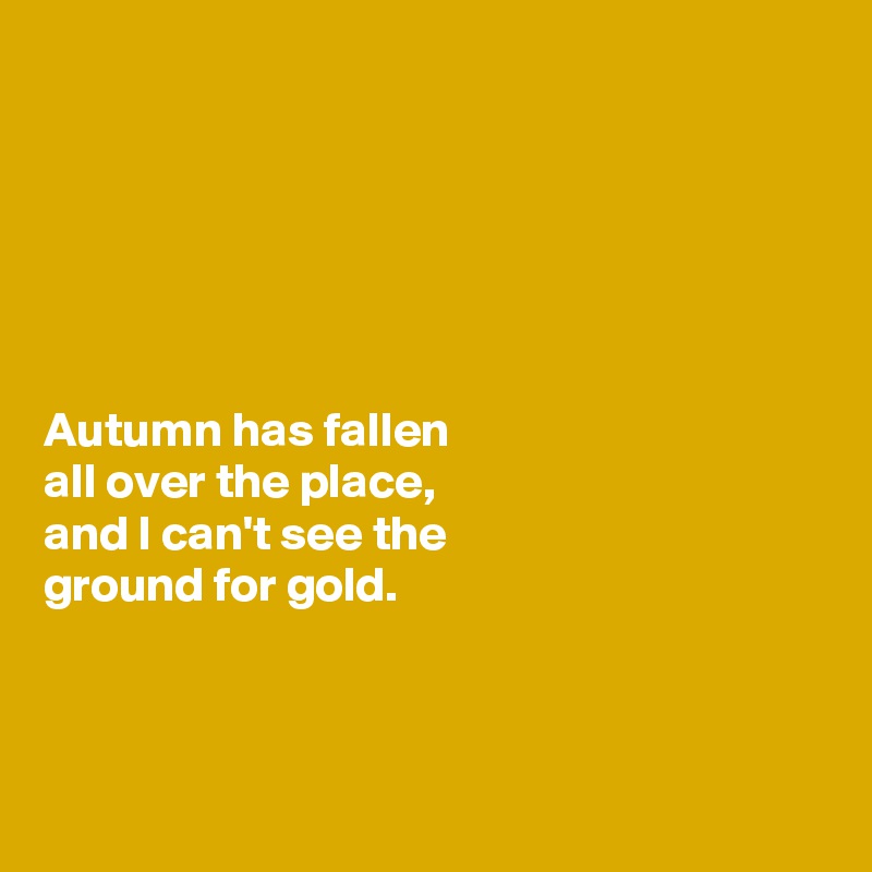 






Autumn has fallen 
all over the place, 
and I can't see the 
ground for gold. 



