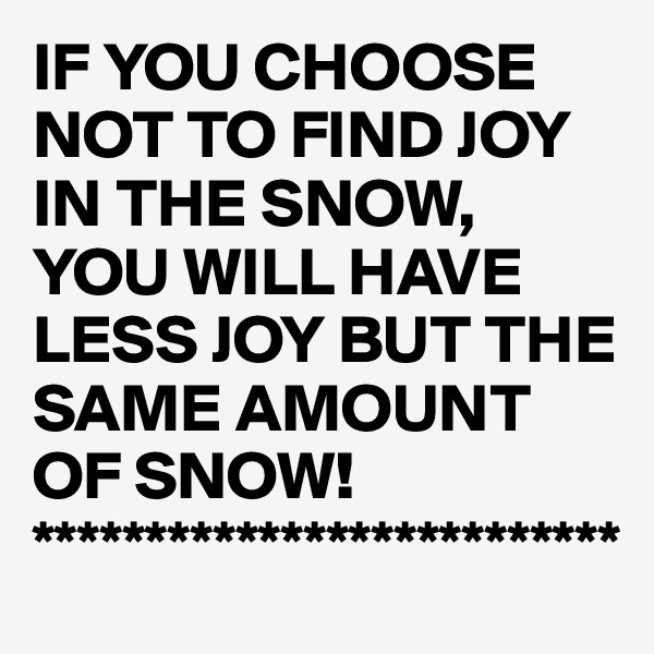 IF YOU CHOOSE NOT TO FIND JOY IN THE SNOW, YOU WILL HAVE LESS JOY BUT THE SAME AMOUNT OF SNOW!
**************************