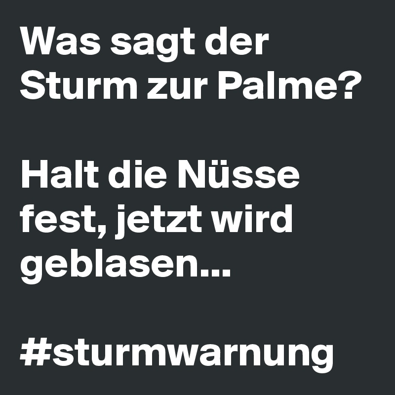 Was sagt der Sturm zur Palme?

Halt die Nüsse fest, jetzt wird geblasen...

#sturmwarnung