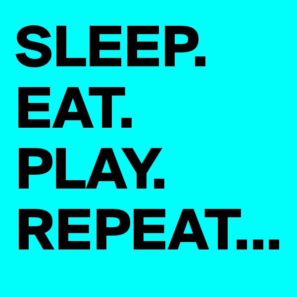 SLEEP.
EAT.
PLAY.
REPEAT...