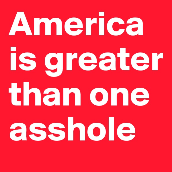 America is greater than one asshole 