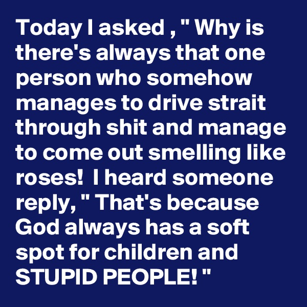 Today I asked , " Why is there's always that one person who somehow manages to drive strait through shit and manage to come out smelling like roses!  I heard someone reply, " That's because God always has a soft spot for children and STUPID PEOPLE! "  
