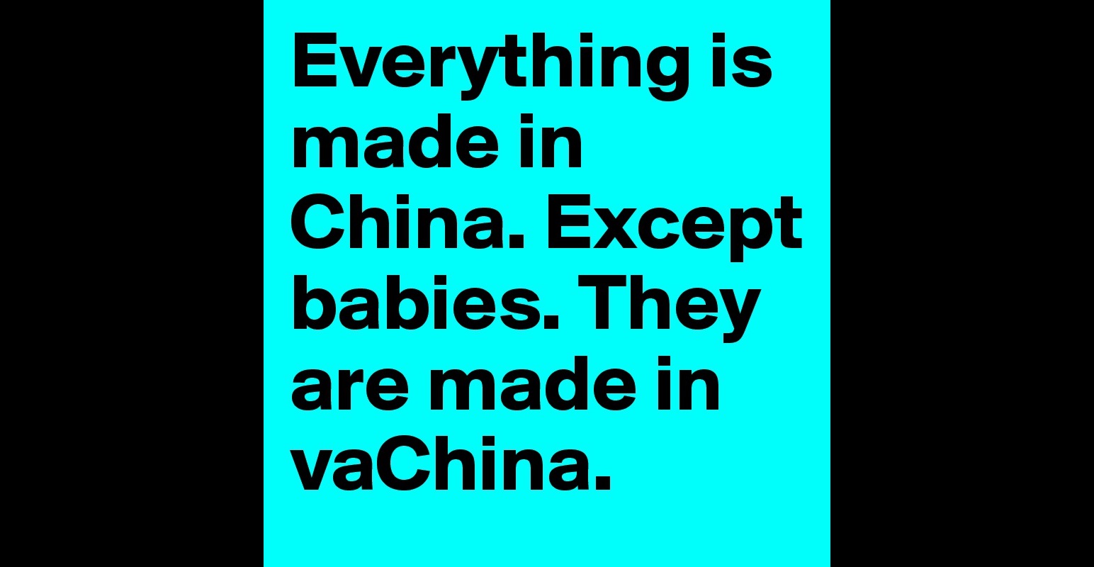 everything-is-made-in-china-except-babies-they-are-made-in-vachina