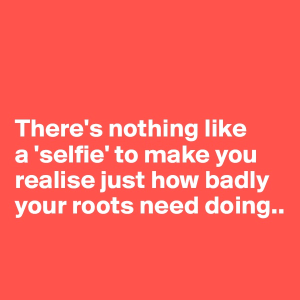 



There's nothing like 
a 'selfie' to make you realise just how badly your roots need doing.. 

