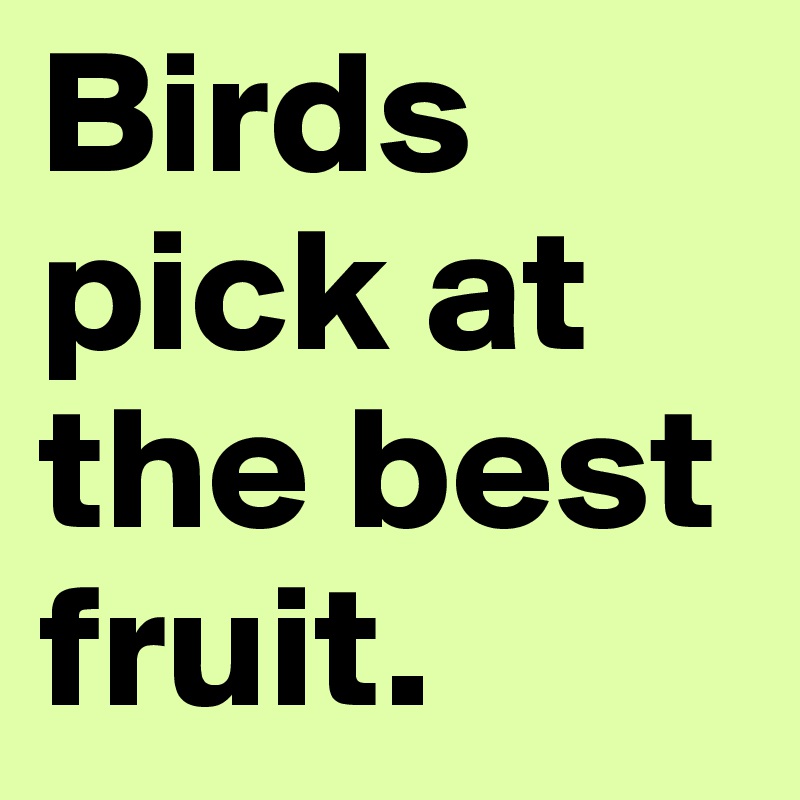 Birds pick at the best fruit.