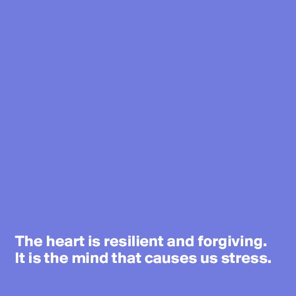 












The heart is resilient and forgiving.  It is the mind that causes us stress.