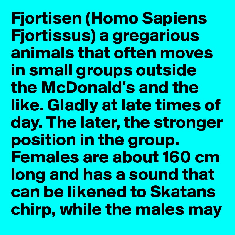Fjortisen (Homo Sapiens Fjortissus) a gregarious animals that often moves in small groups outside the McDonald's and the like. Gladly at late times of day. The later, the stronger position in the group. Females are about 160 cm long and has a sound that can be likened to Skatans chirp, while the males may 