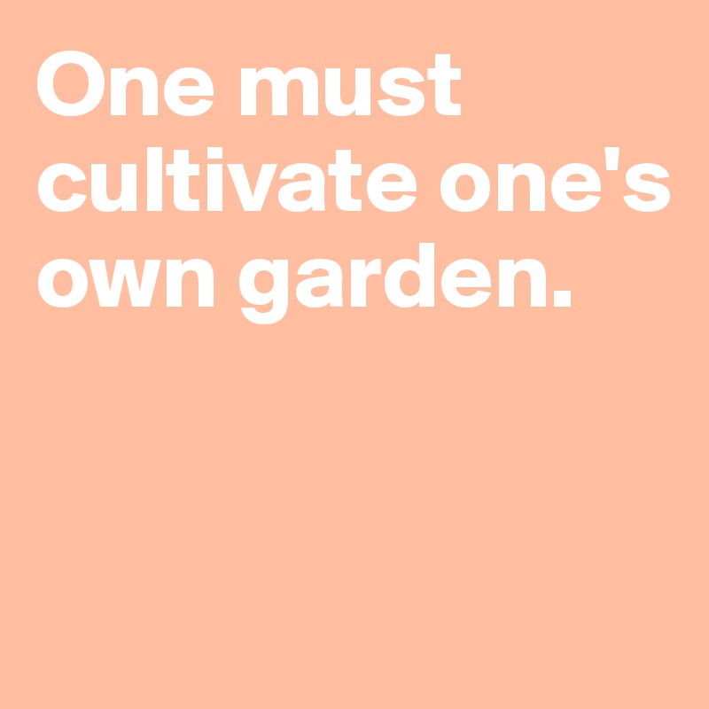 One must cultivate one's own garden. 


